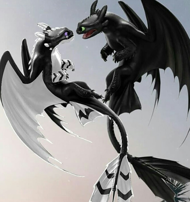 night fury and light fury