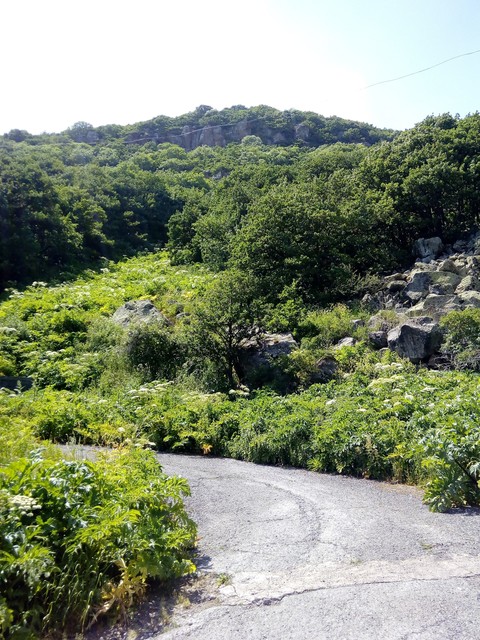 Mountain road