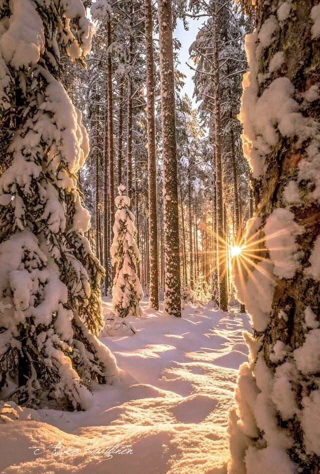 Морозное утро