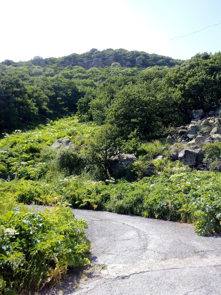 Mountain road