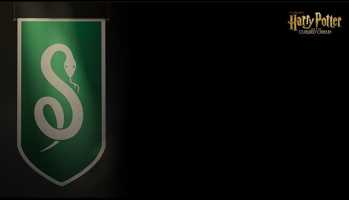 Harry Potter Slytherin