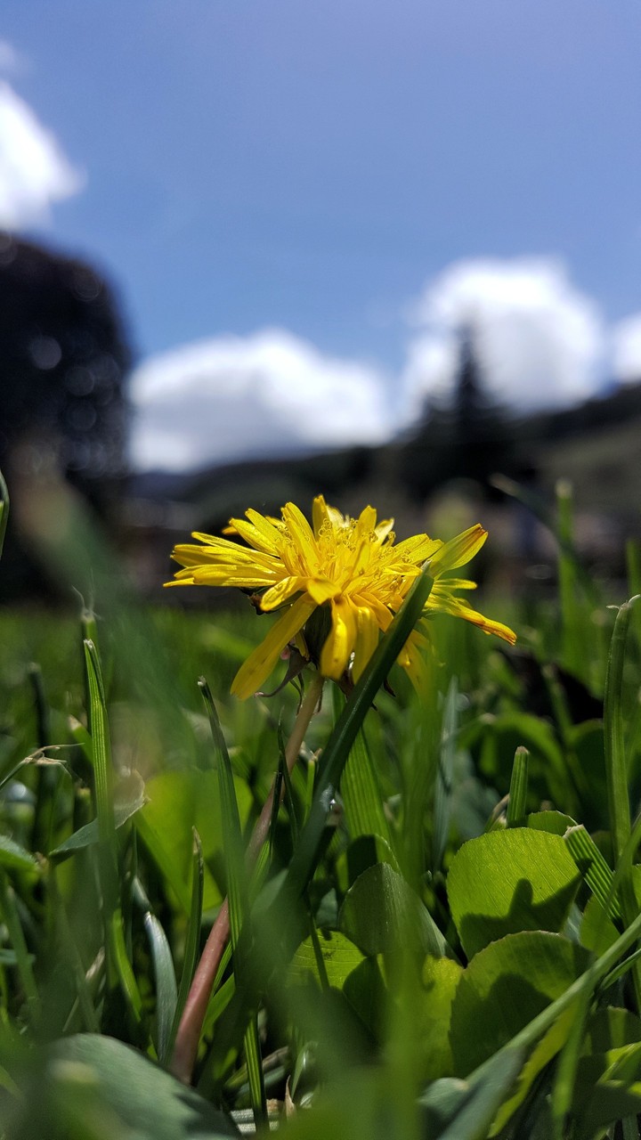 Spring day