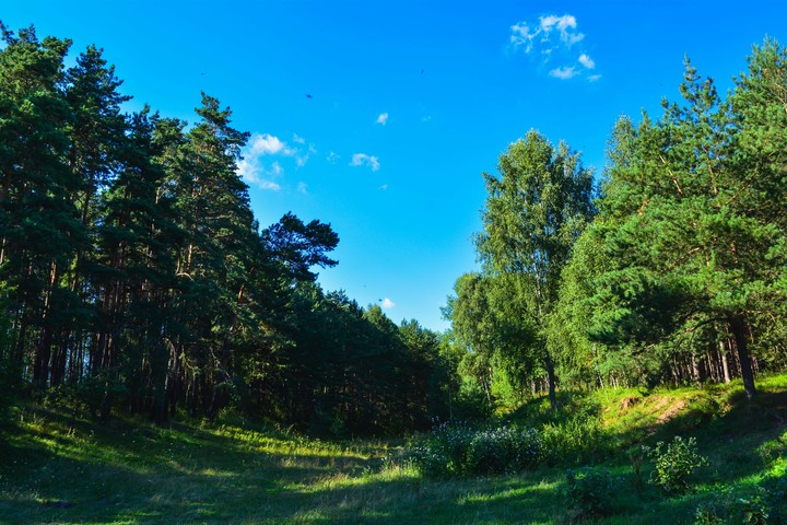 nature