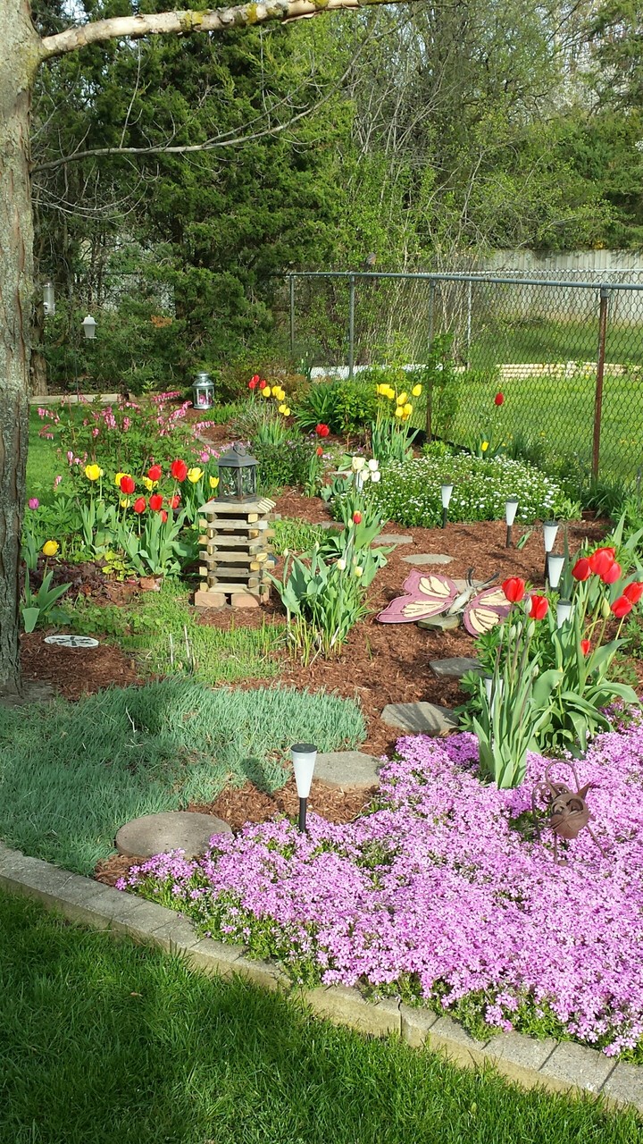 spring flowers ...