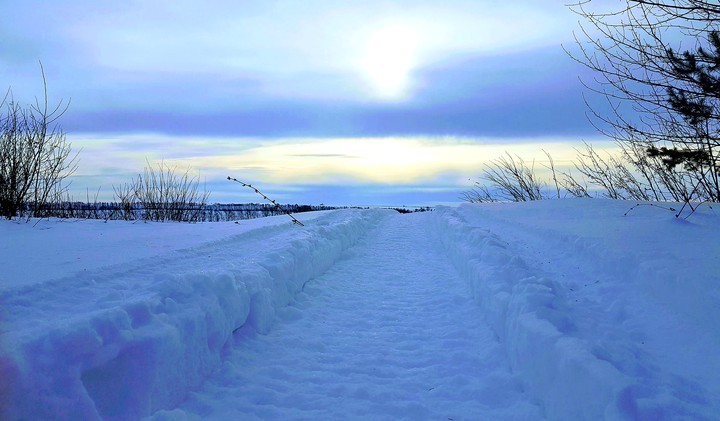 My winter