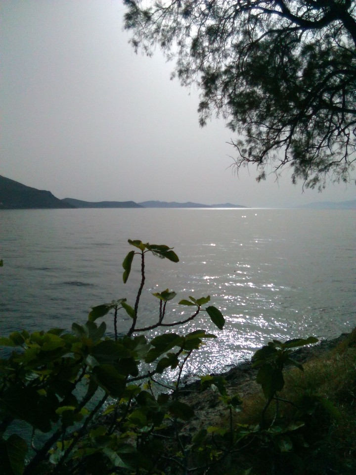 see and green