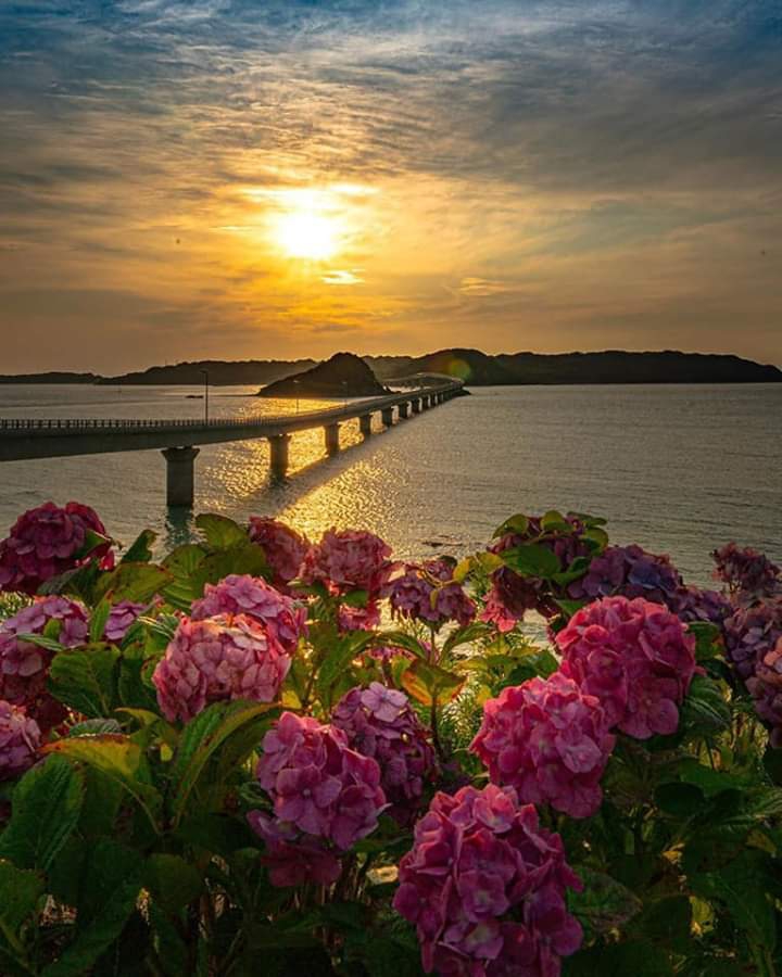 beautifull nature