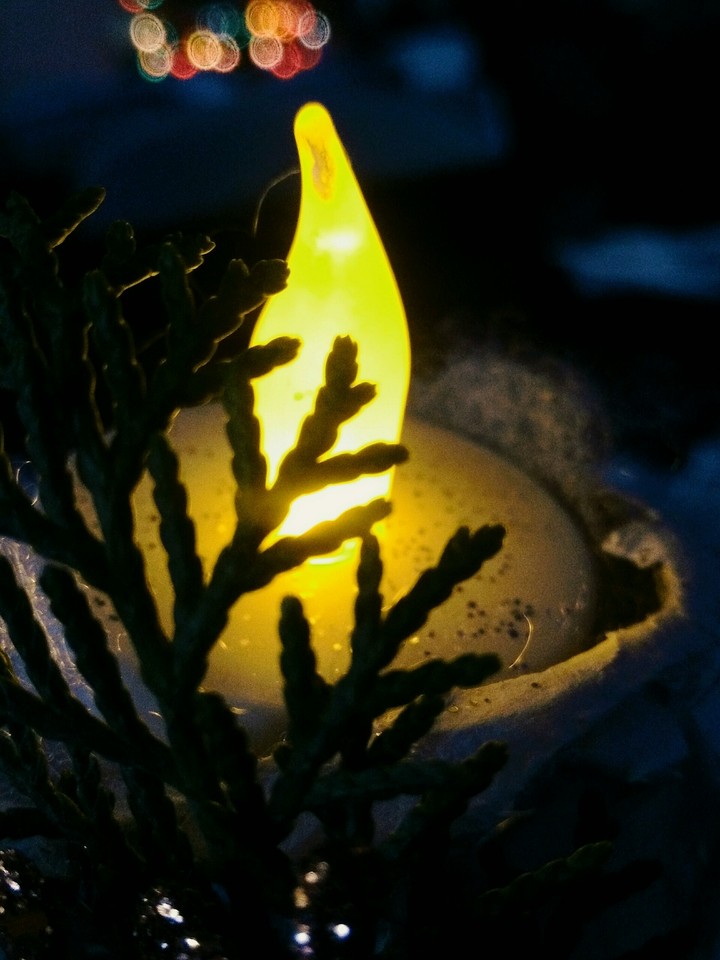 Navidad