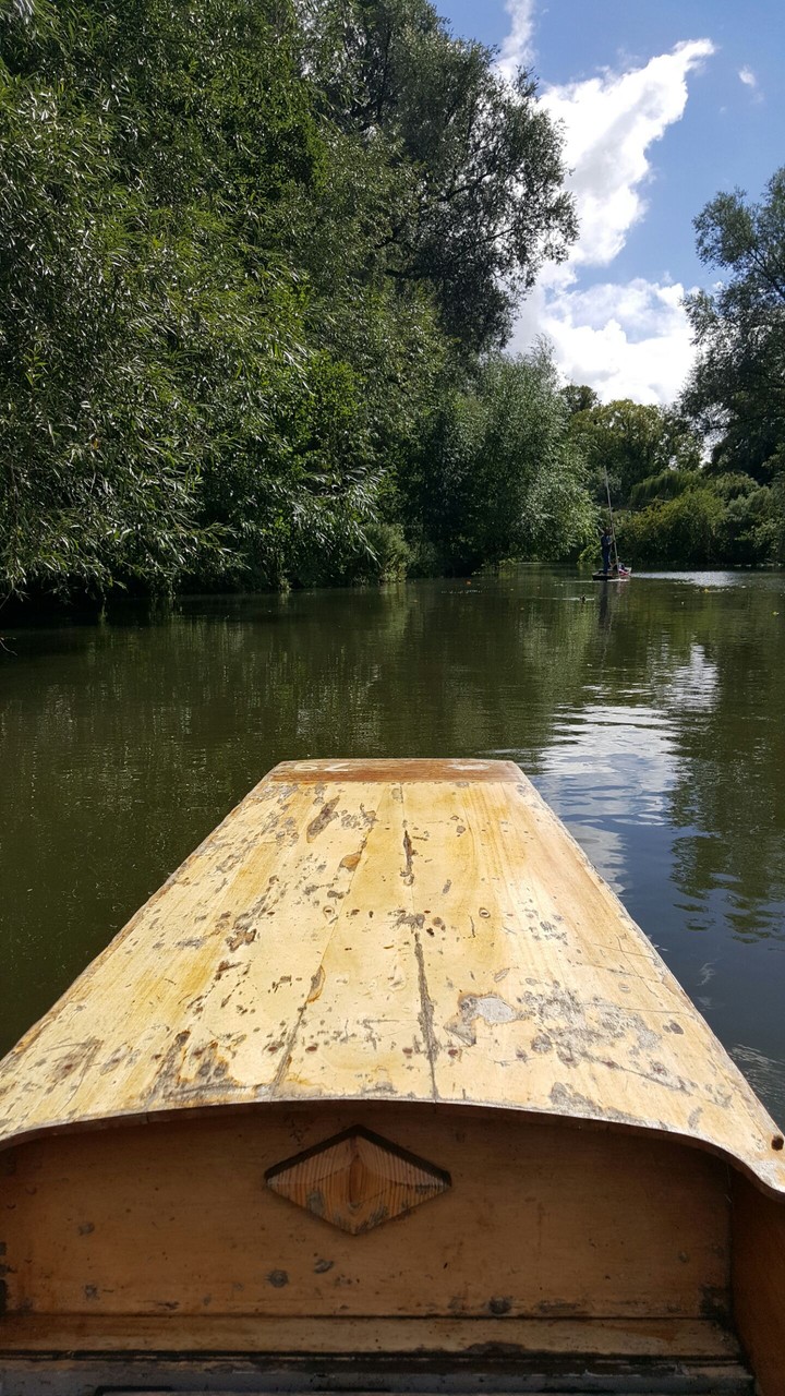 Rowing the canals of Oxfordshire