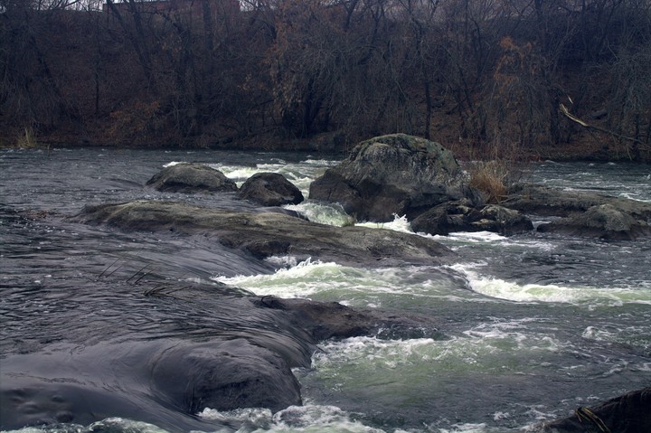 Gaivoron