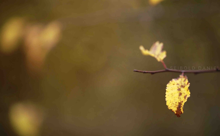 herbstlich