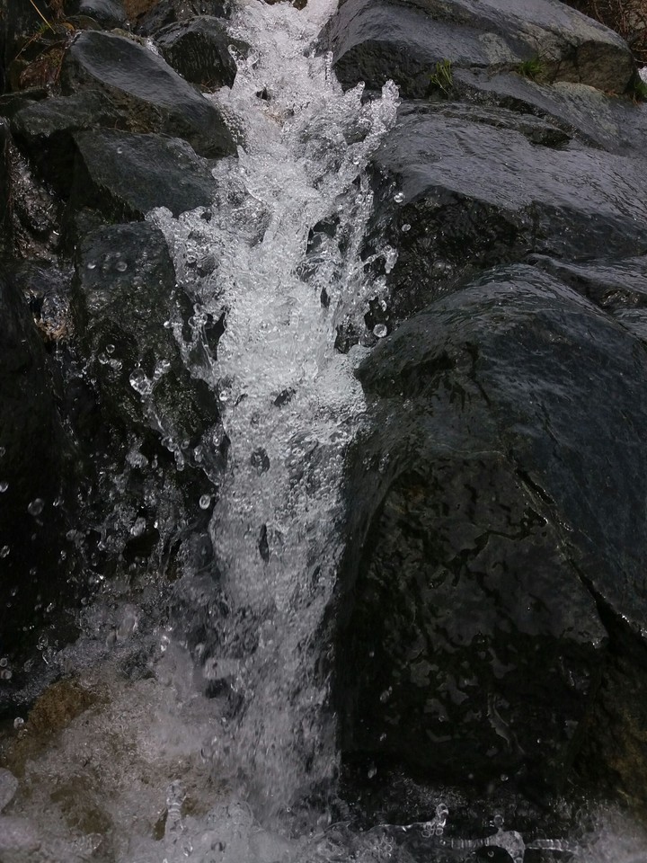 water is life