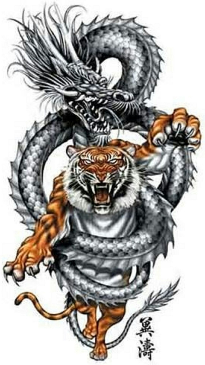Tiger Dragon
