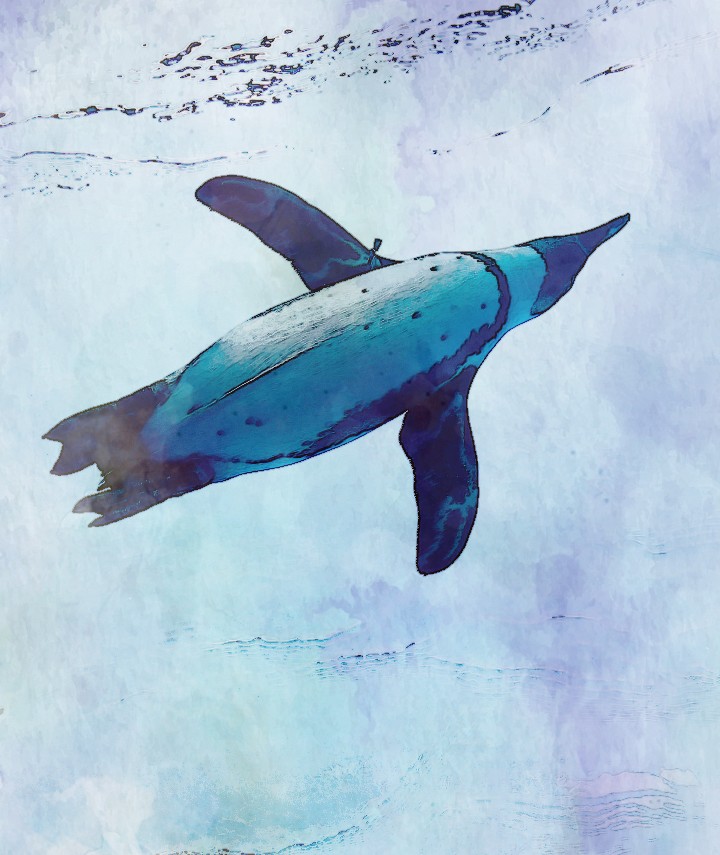 空を飛んだペンギン