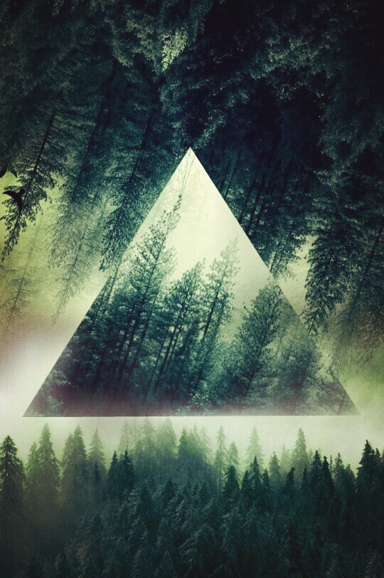 forest hipster