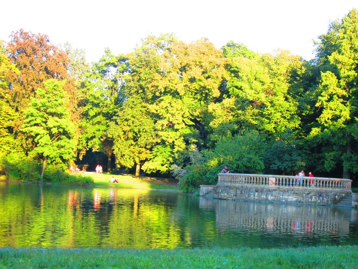 pond in the park
