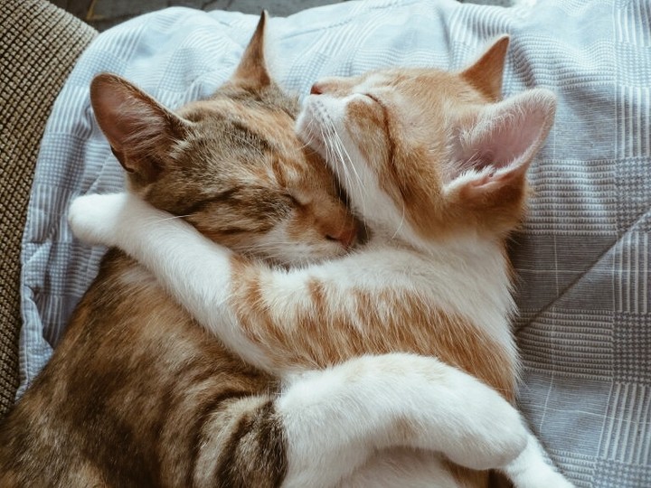 cute❤