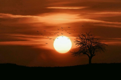 sunset