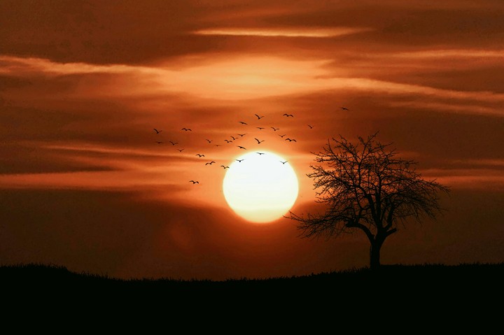 sunset
