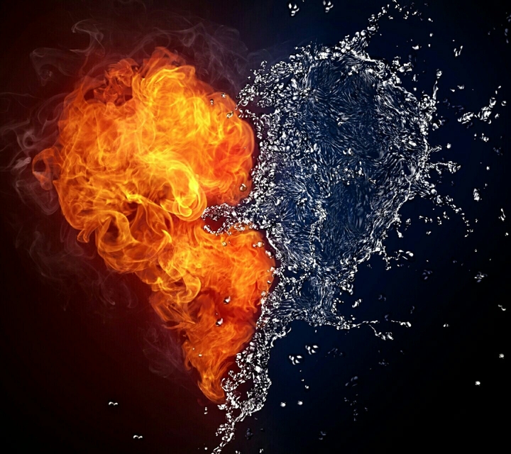 Heart