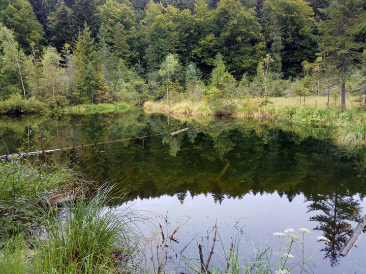 nature
