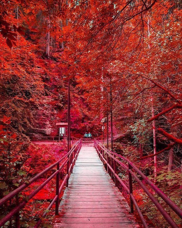 nature