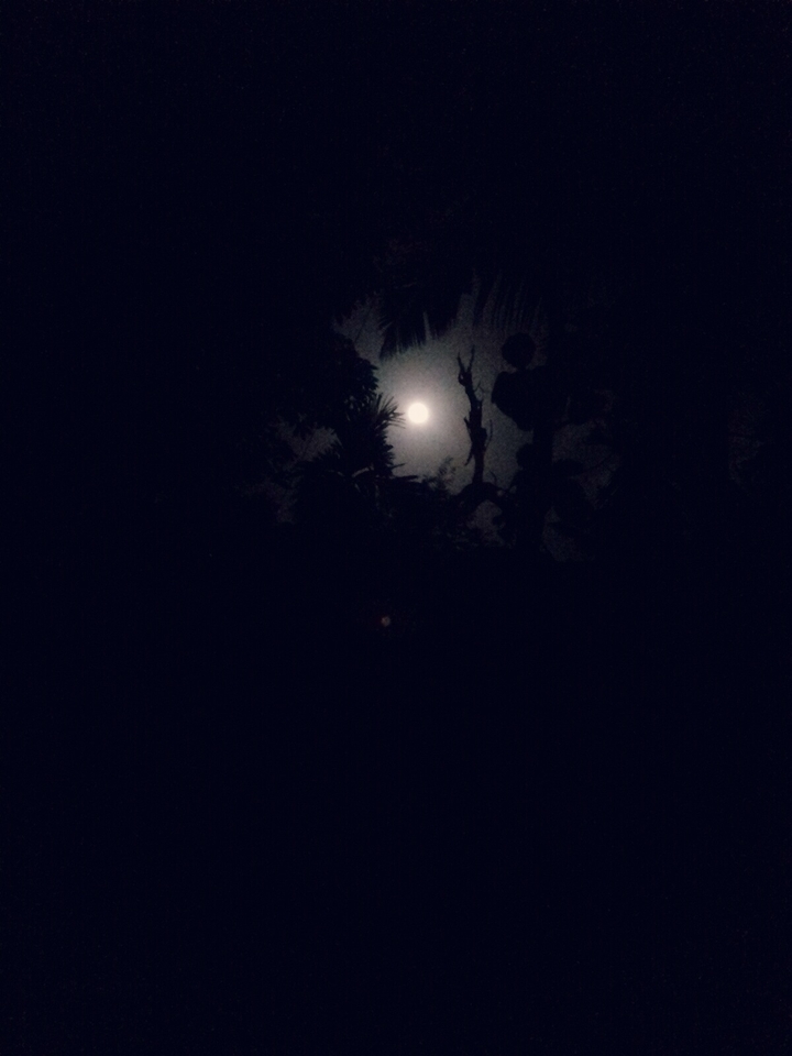 shining moon