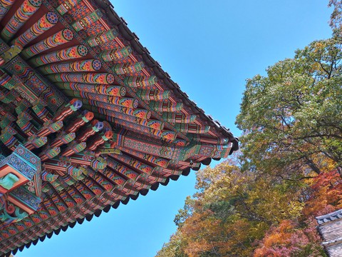 Korean Temple(Ssanggyesa)