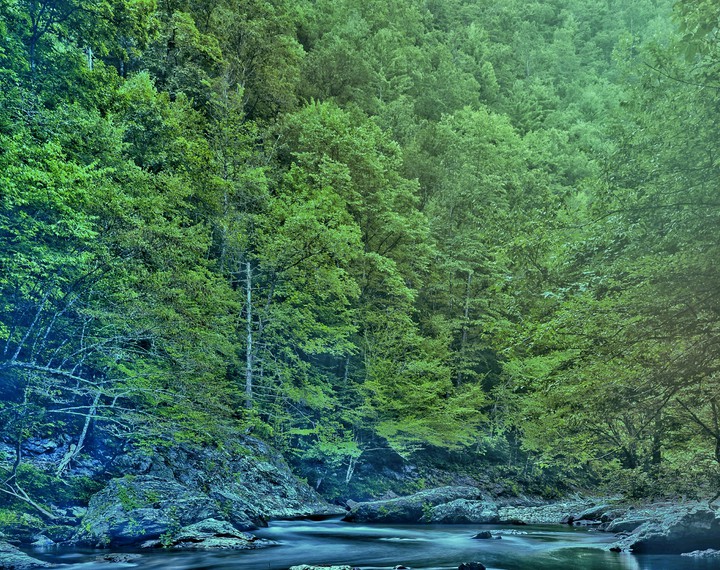 back to the nature