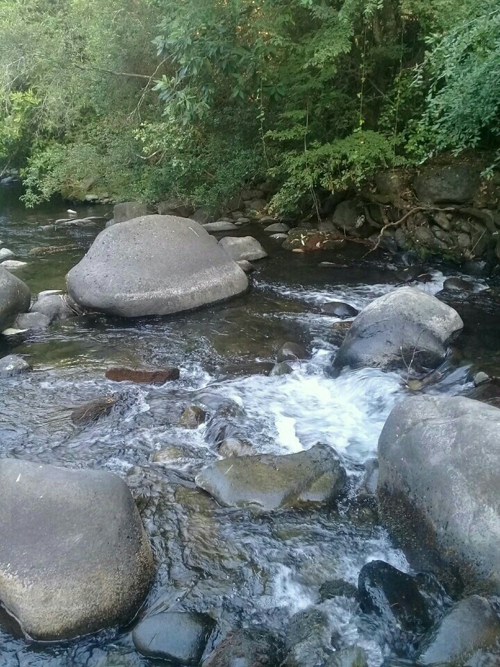 mi foto  mi lugar.