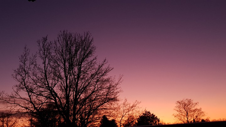 Violett sunset in winter