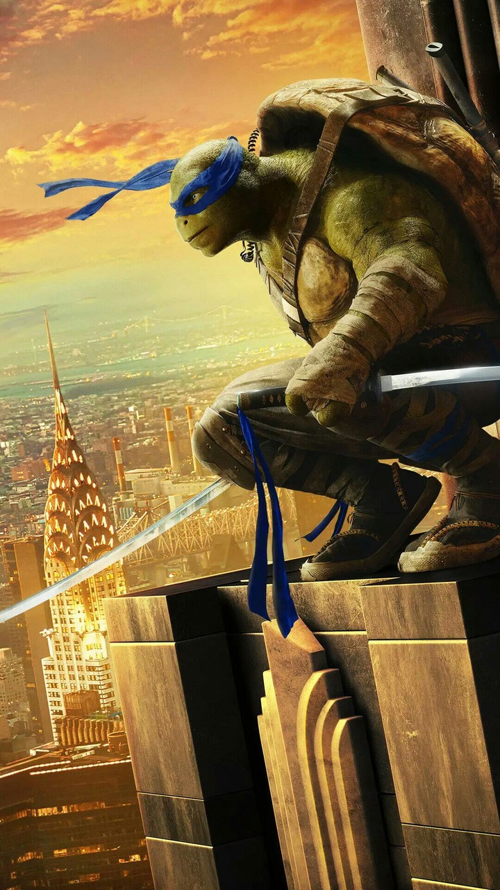ninja turtles