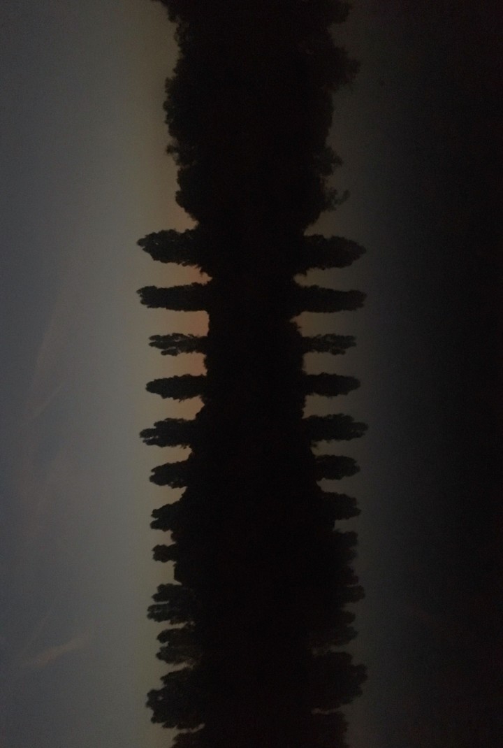 20180701008