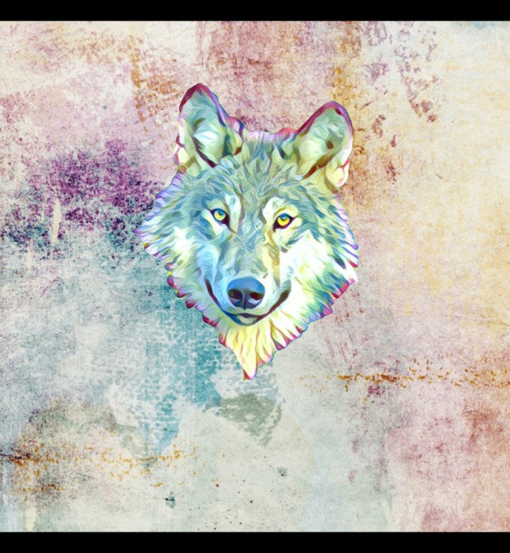 the wolf