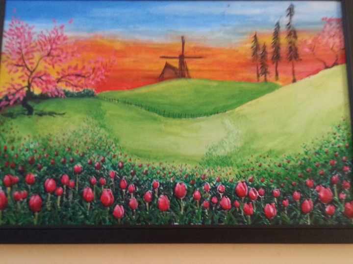 tulip field