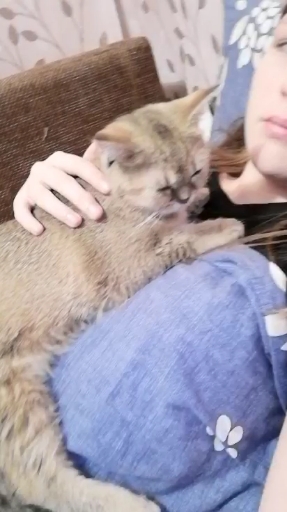 МЯУ