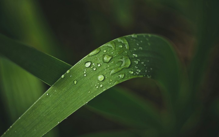 After rain