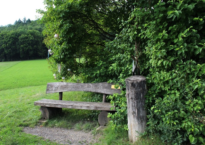 harmony in wood