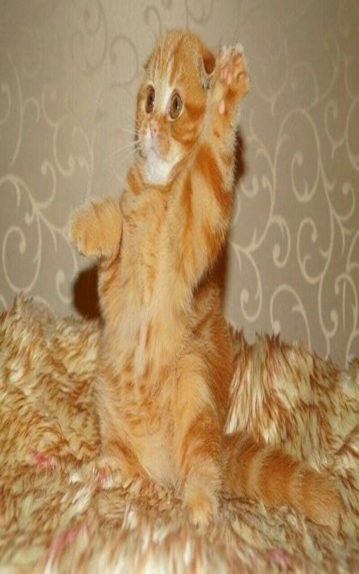 Я!