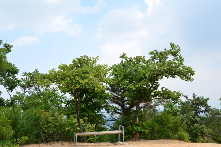 용마산이미지