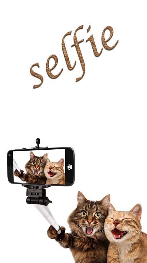 selfie