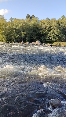 Water 3