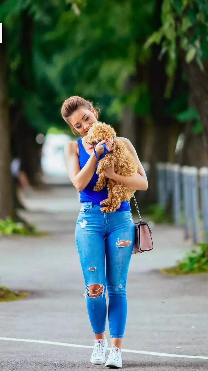 puppy