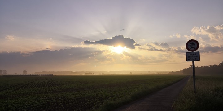 Morning Sky