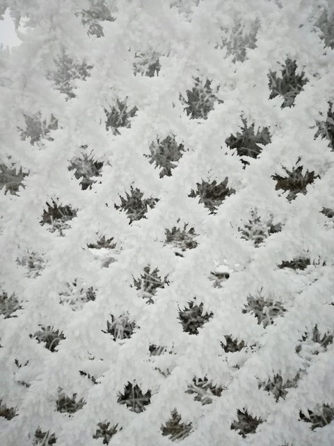 ice