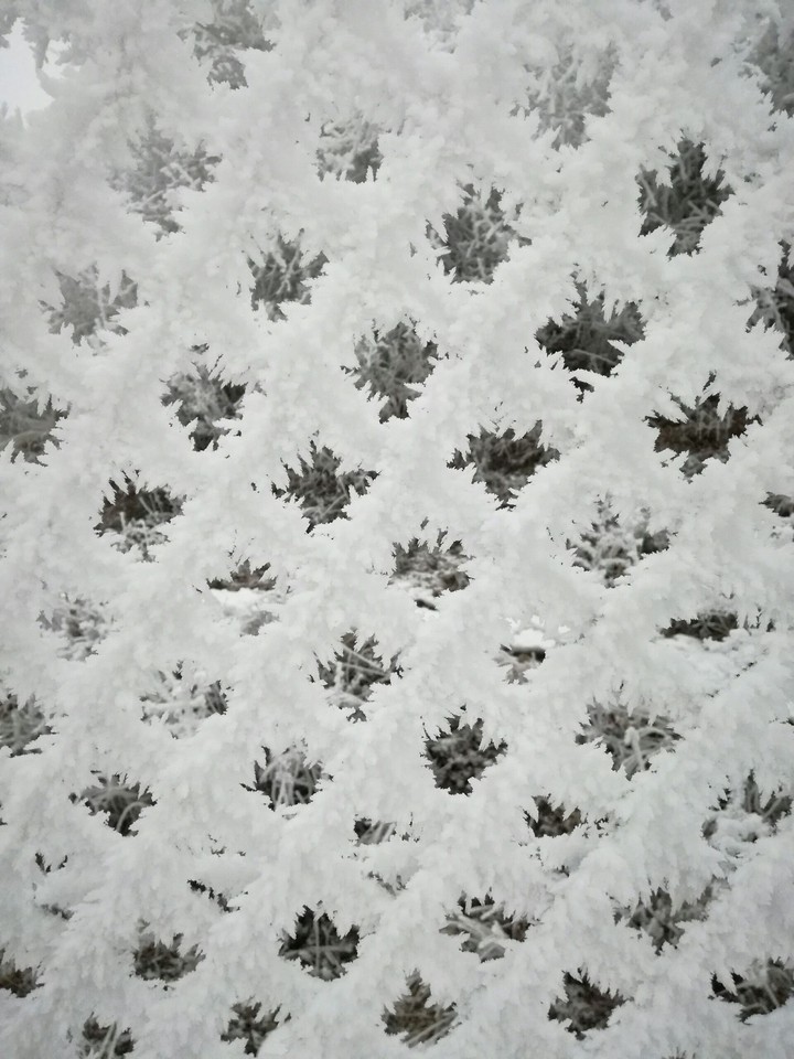 ice