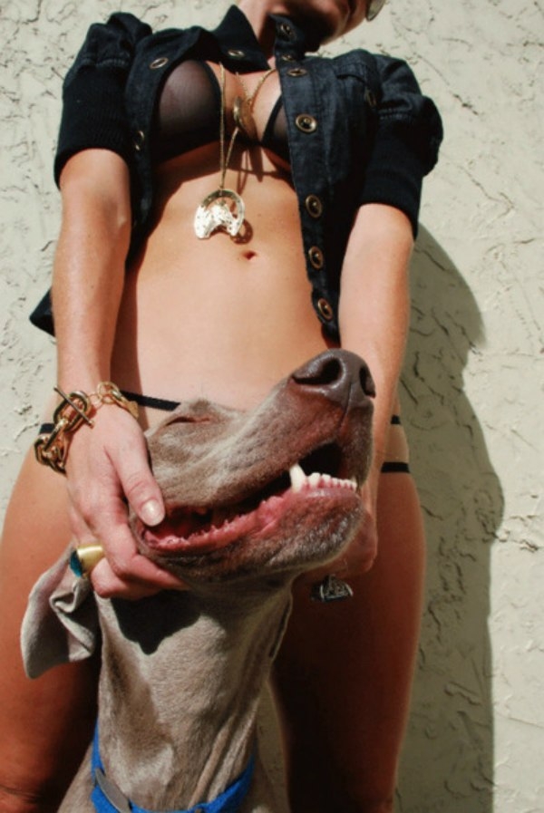Dog and  girl