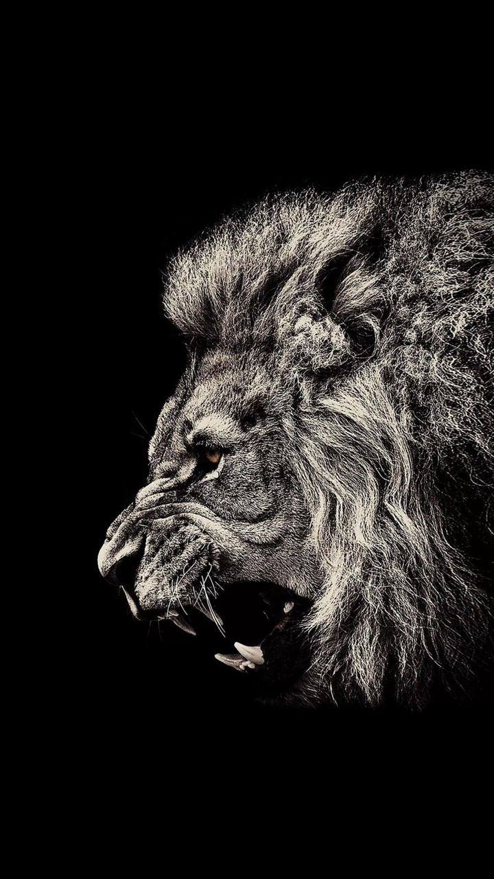 the lion King