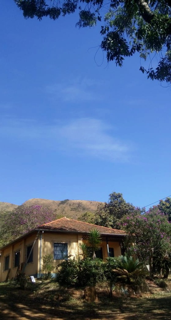 Beautiful Day