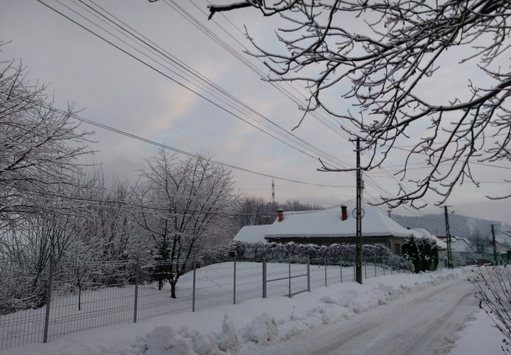Winter morning